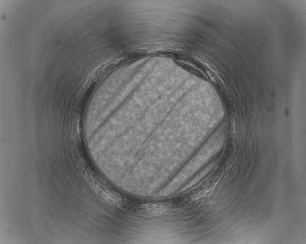 X0000061150733200512161555