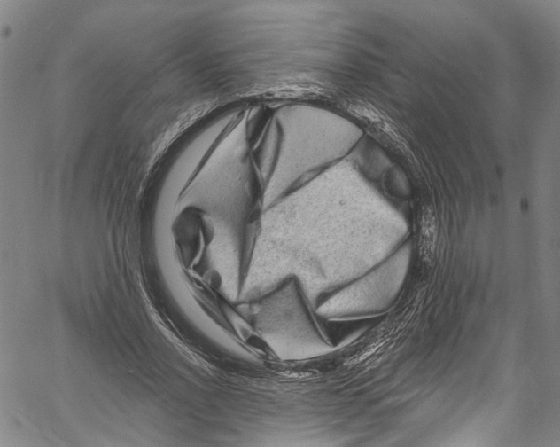 X0000061150734200512161555