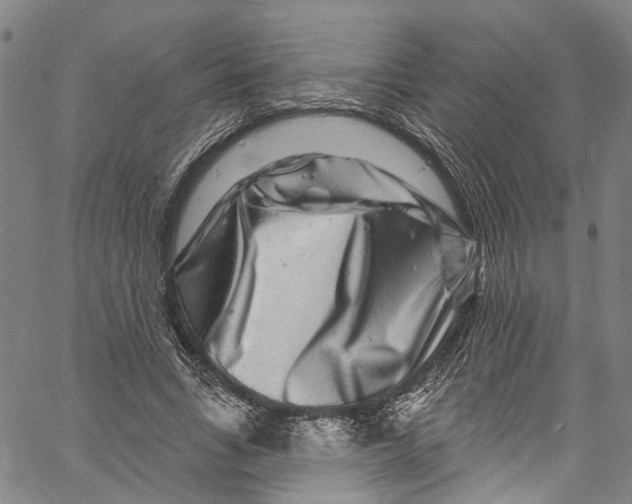 X0000061150735200512161555