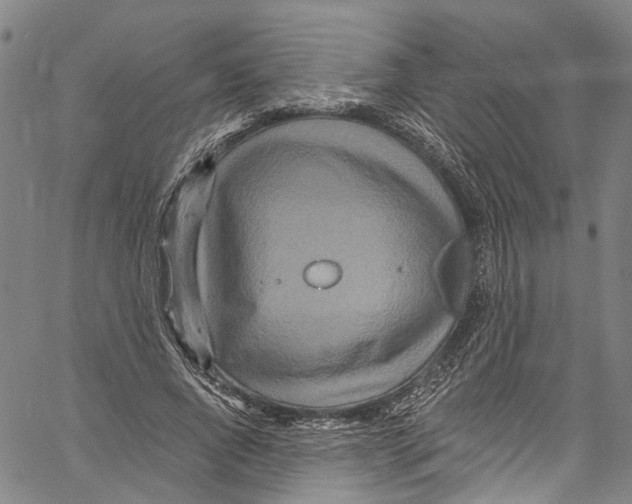 X0000061150736200512161555