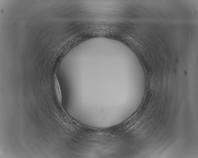 X0000061150737200512161555