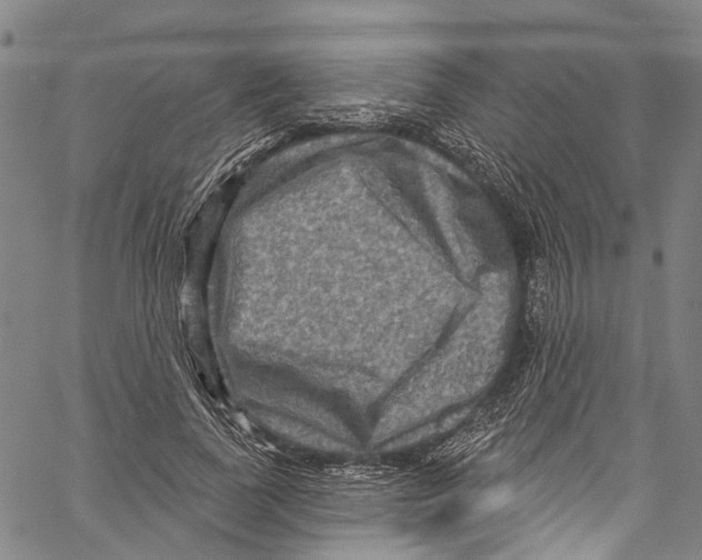 X0000061150739200512161555