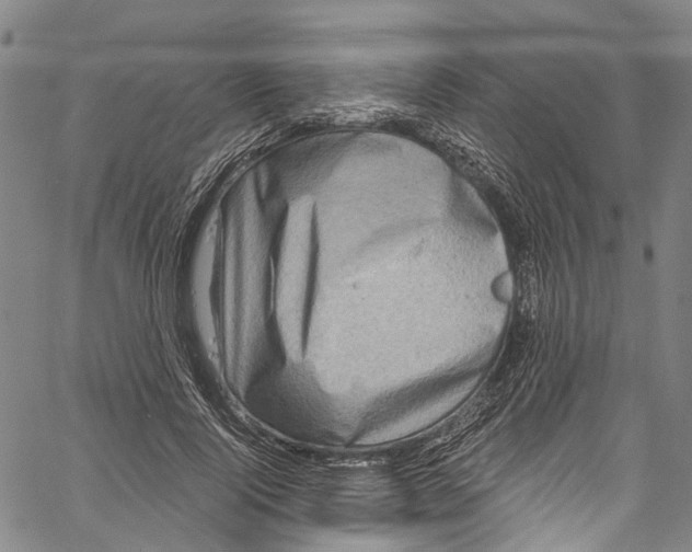 X0000061150740200512161555