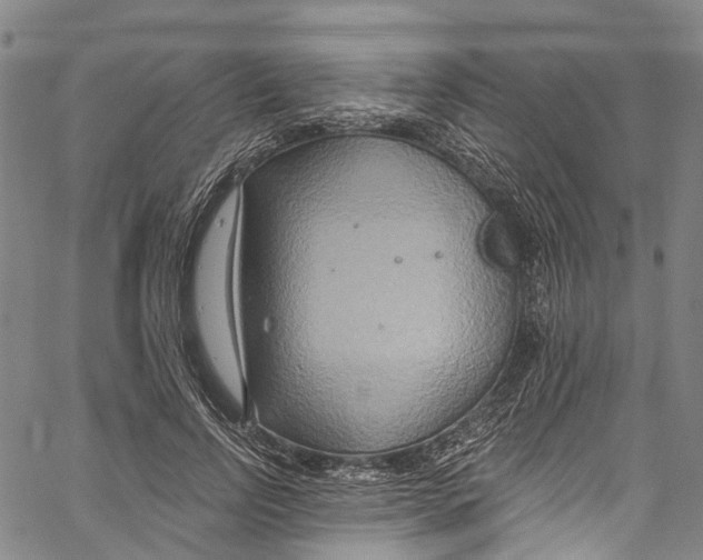 X0000061150742200512161555