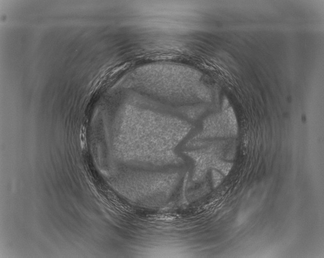 X0000061150743200512161555