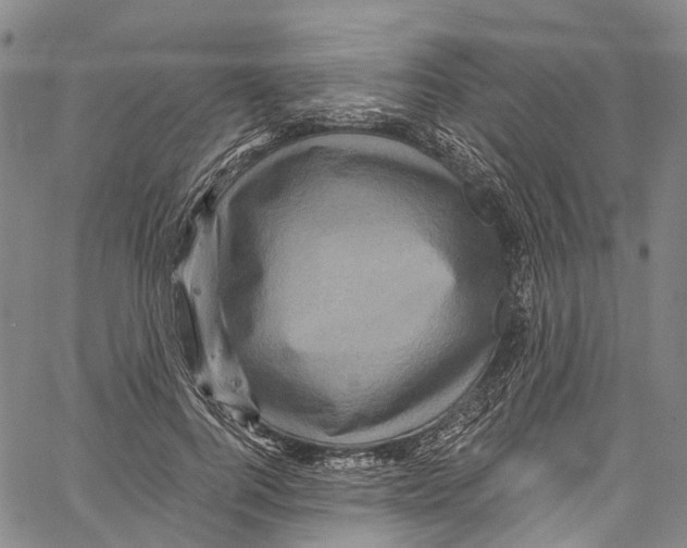 X0000061150744200512161555