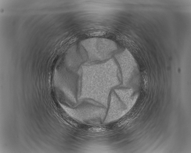 X0000061150745200512161555