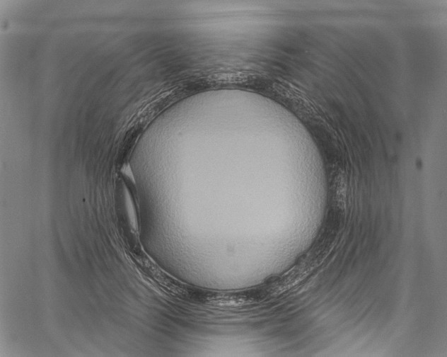 X0000061150746200512161555