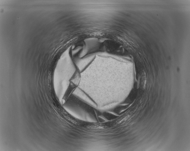 X0000061150747200512161555