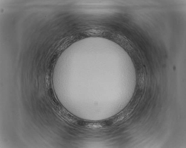 X0000061150749200512161555