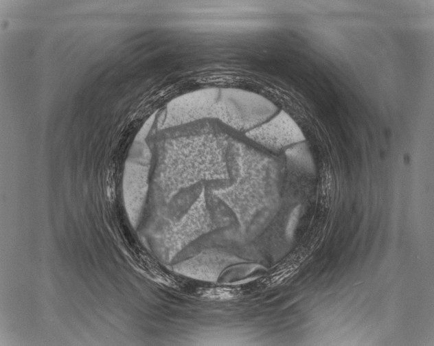 X0000061150751200512161555