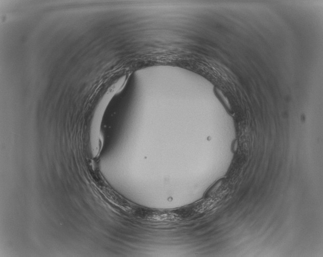 X0000061150752200512161555