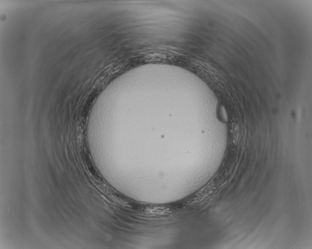 X0000061150753200512161555