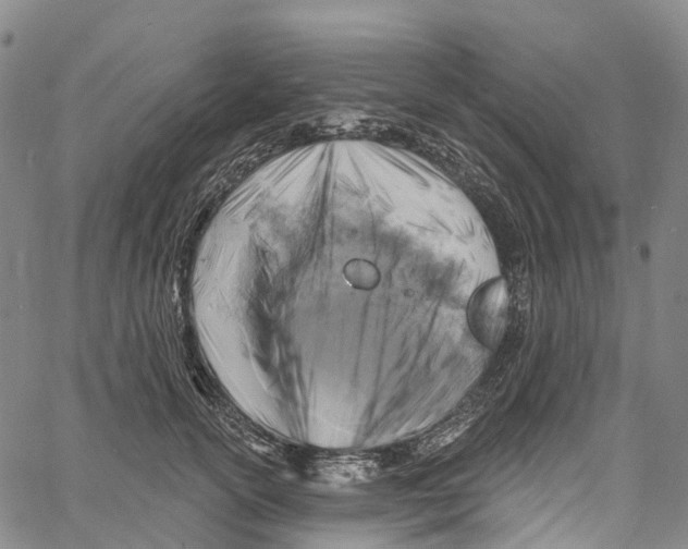 X0000061150754200512161555