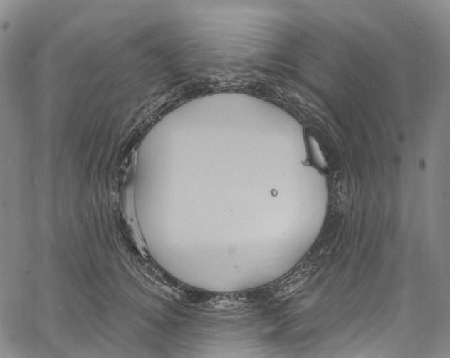 X0000061150756200512161555