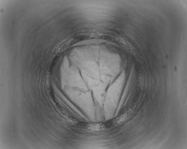 X0000061150757200512161555