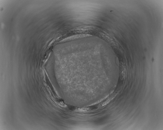 X0000061150758200512161555