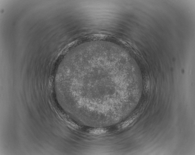 X0000061150759200512161555