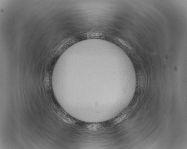 X0000061150761200512161555