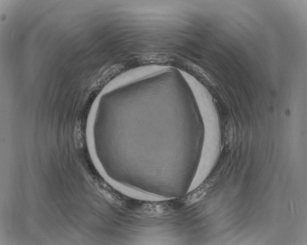 X0000061150764200512161555