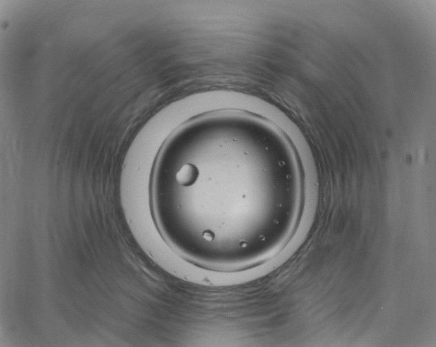 X0000061150766200512161555