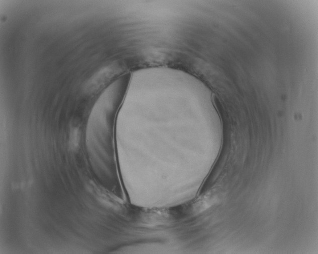 X0000061150768200512161555