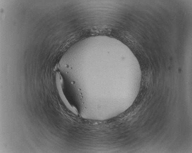 X0000061150770200512161554