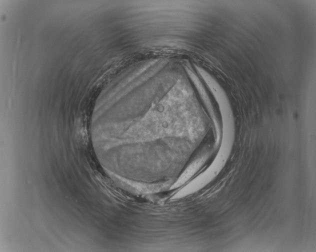 X0000061150771200512161554