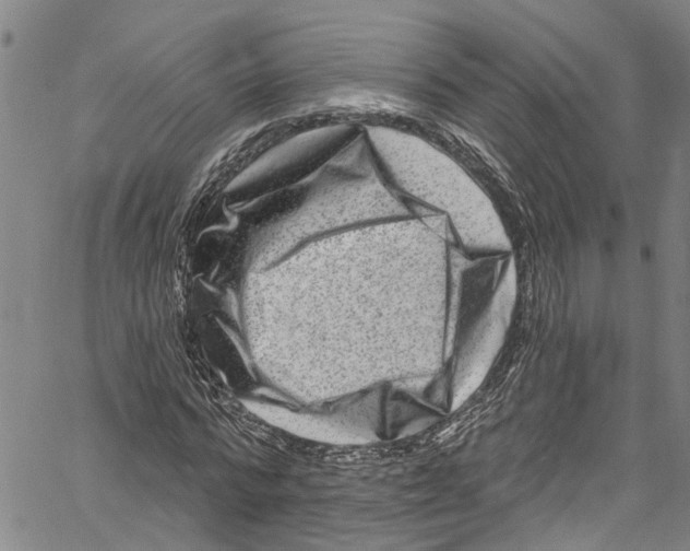 X0000061150776200512161554