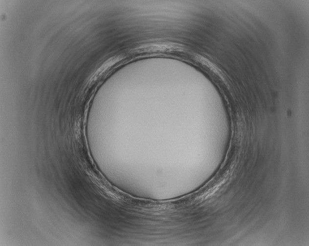 X0000061150778200512161554