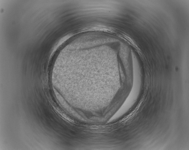 X0000061150780200512161554