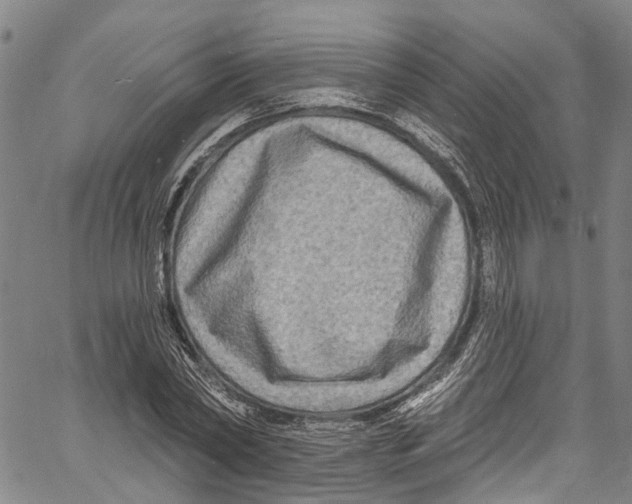 X0000061150782200512161554