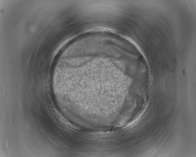 X0000061150783200512161554