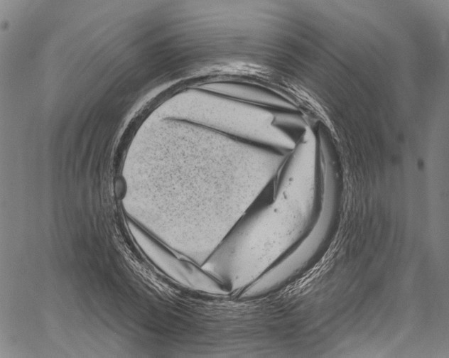 X0000061150784200512161554