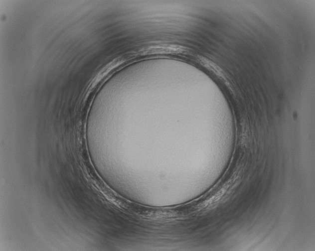 X0000061150786200512161554