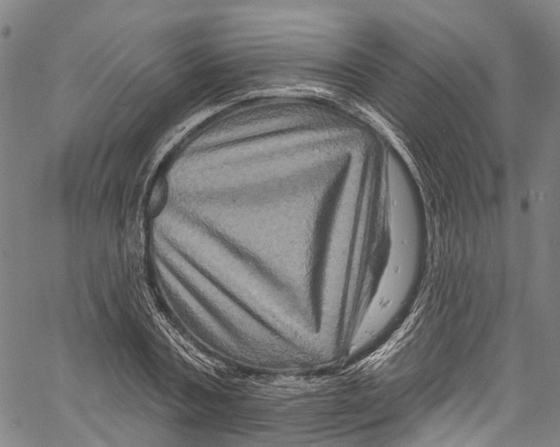 X0000061150787200512161554