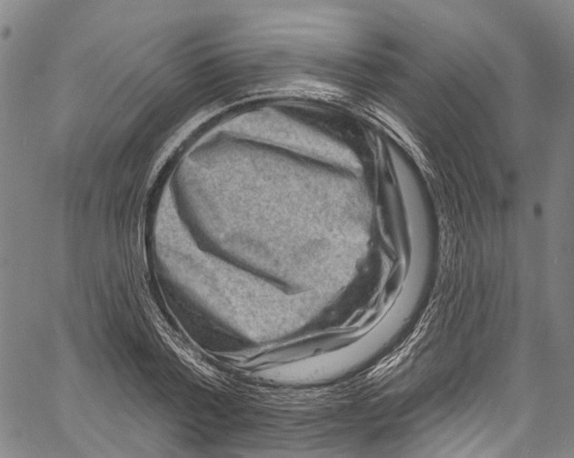 X0000061150788200512161554