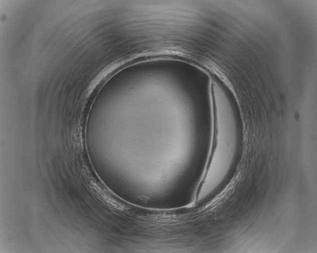 X0000061150789200512161554