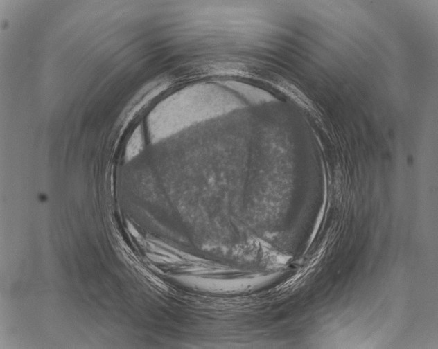 X0000061150790200512161554