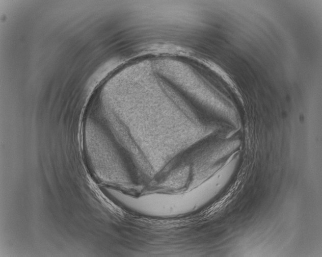 X0000061150791200512161554