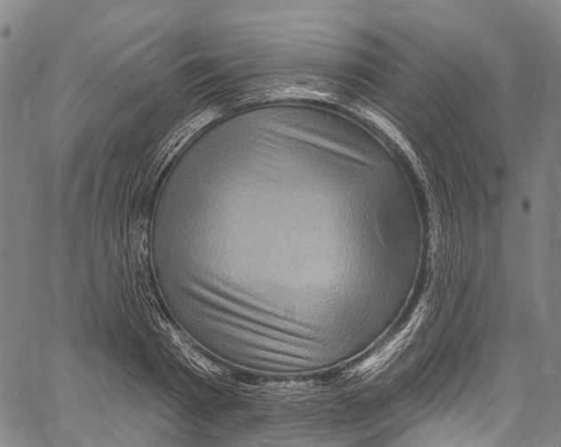 X0000061150793200512161554