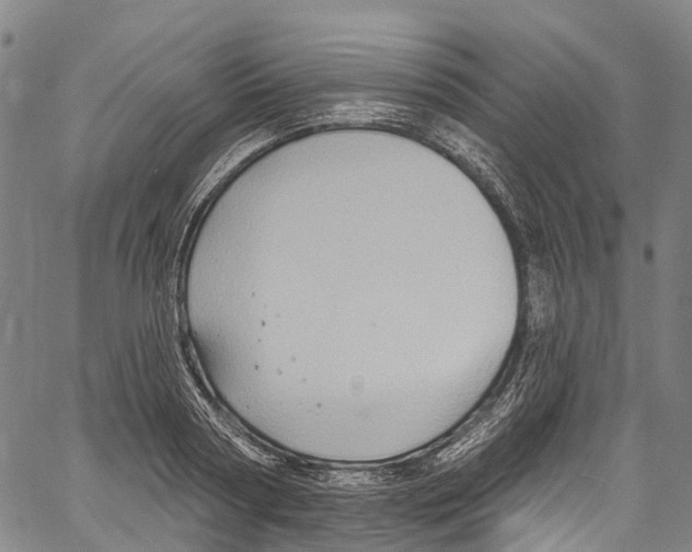 X0000061150794200512161554