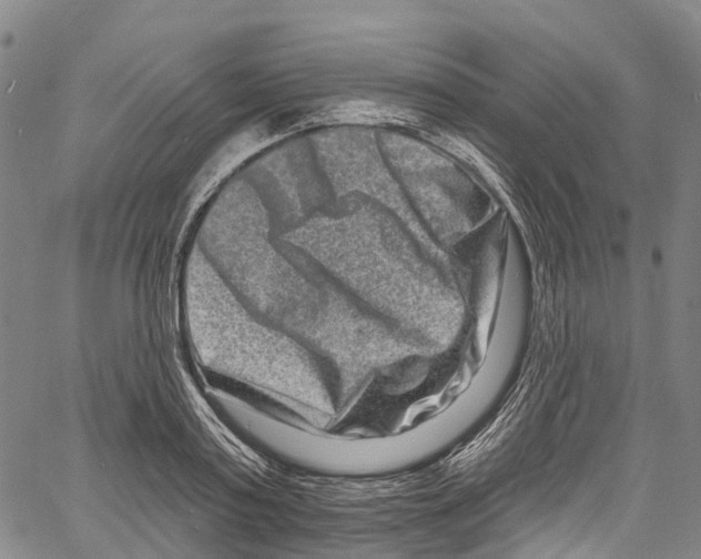 X0000061150795200512161554