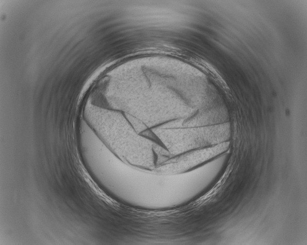 X0000061150796200512161554