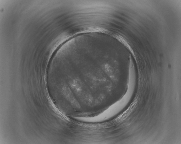 X0000061150797200512161554