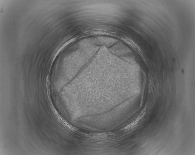 X0000061150798200512161554