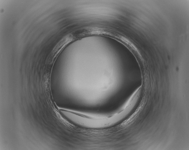 X0000061150801200512161554