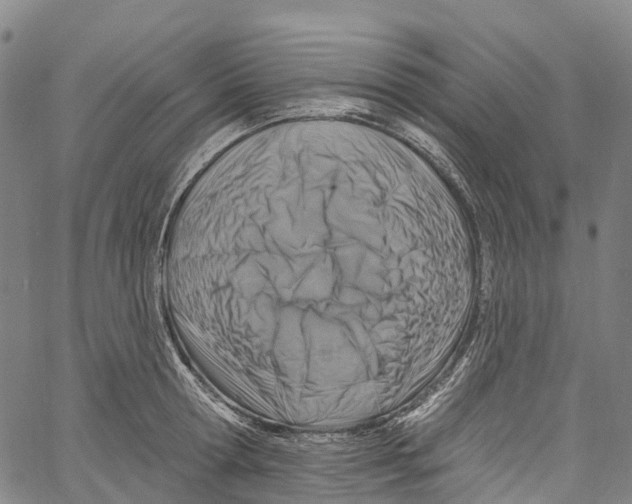 X0000061150802200512161554