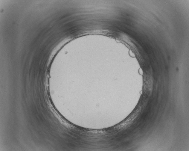 X0000061150804200512161554