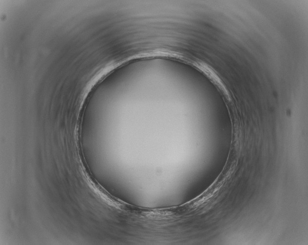 X0000061150805200512161554